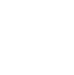 Custody & Settlements
